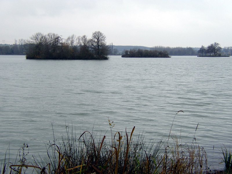 2009 01 Ornitho à Ecluzelles 10